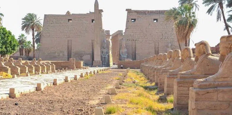 Avenue of Sphinxes (El-Kebbash Road), Luxor