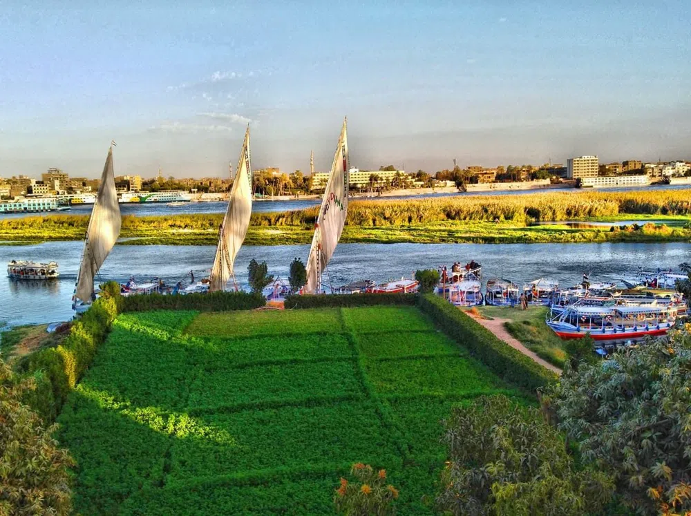 The Nile Felucca at Golden Hour: Luxor's Quietest Afternoon Ritual