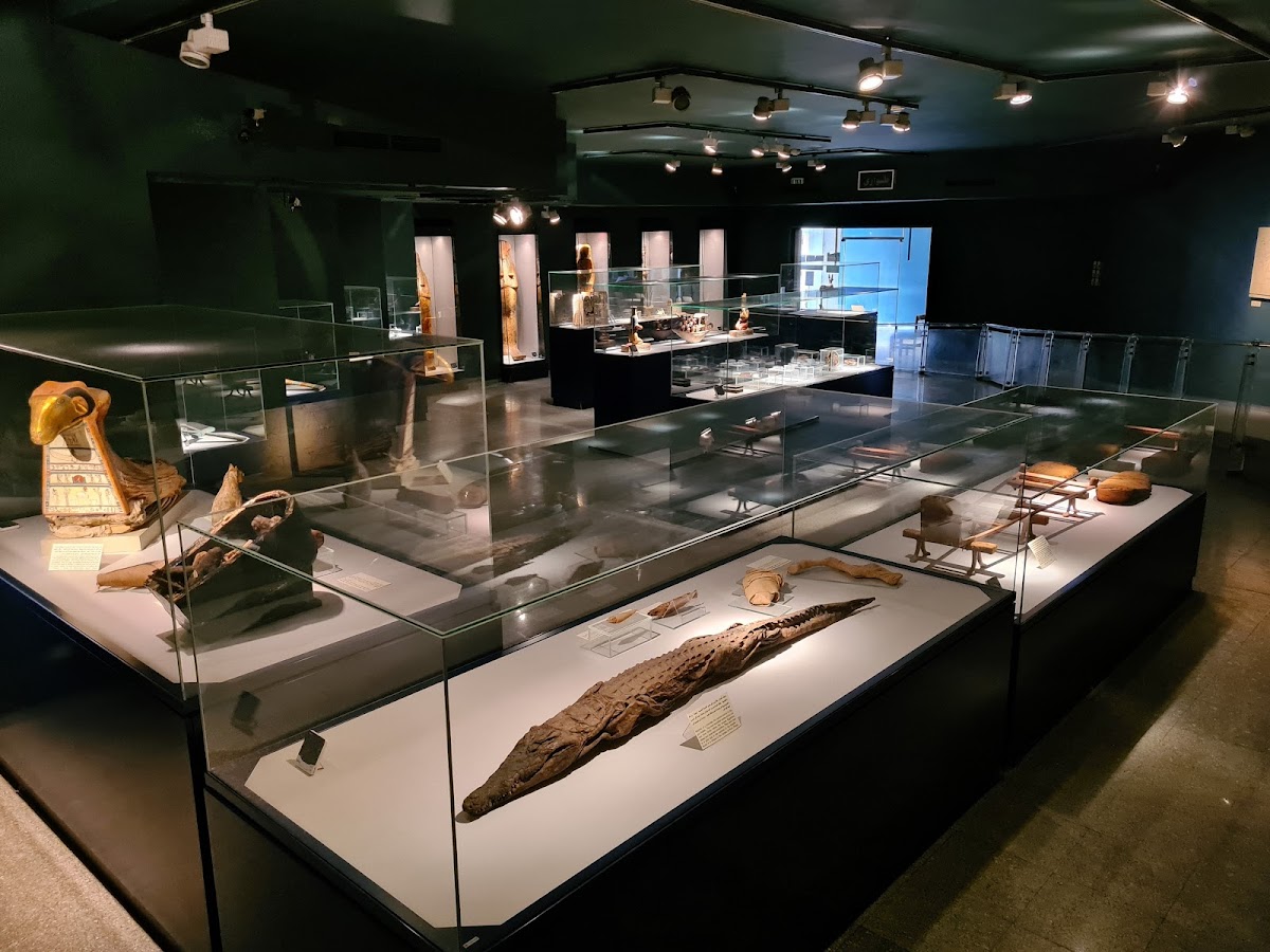Mummification Museum — photo 2