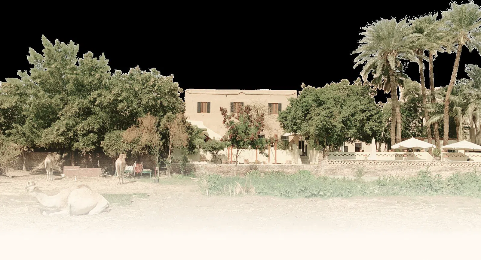Marsam Hotel, Luxor